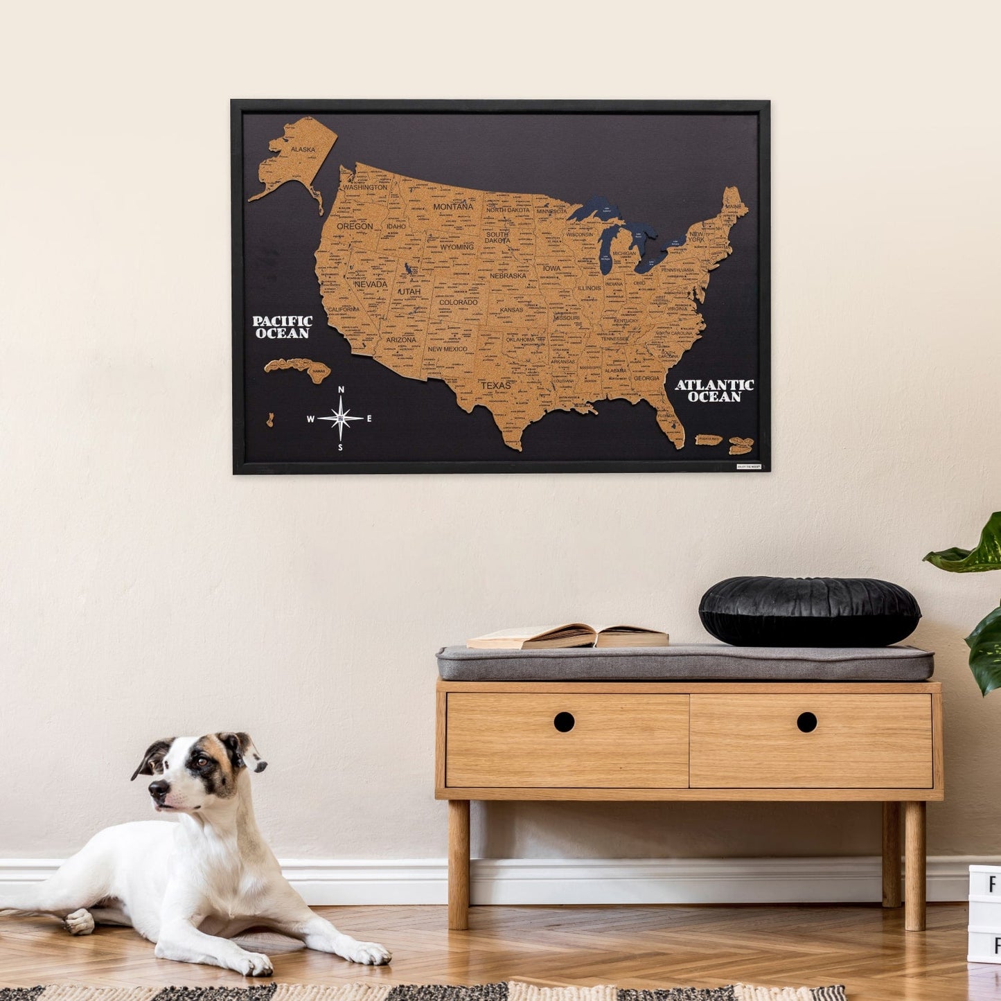 Map of the United States on the wall above a wooden bench with a dog sitting below.