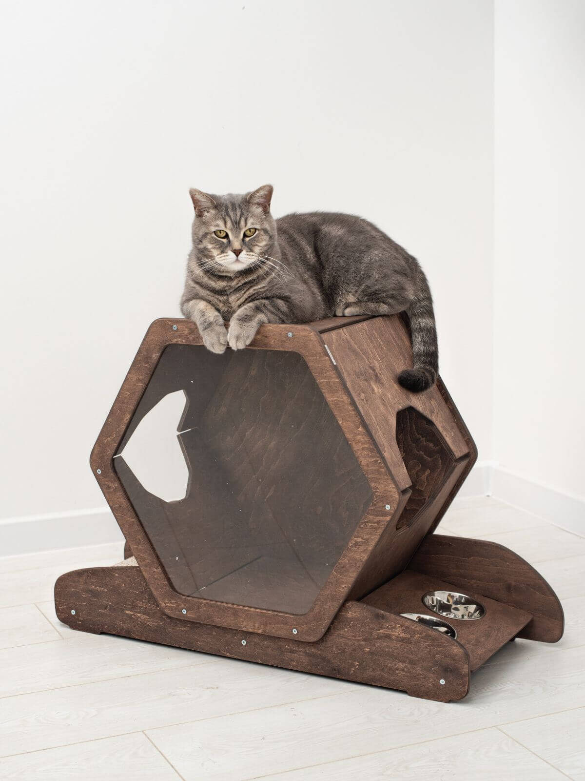 wall mounted cat bed