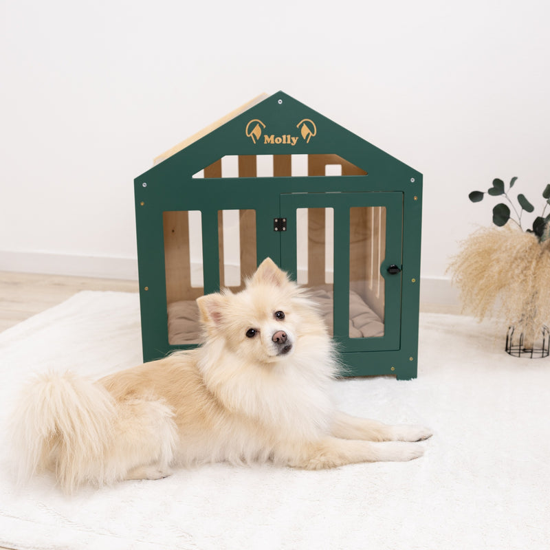 Dog House with a Fabric Roof - Green