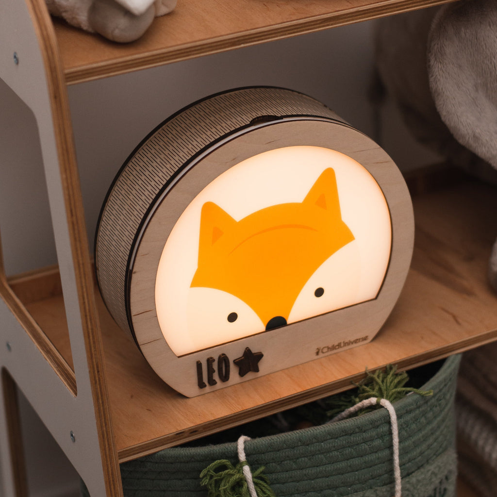 night toy light