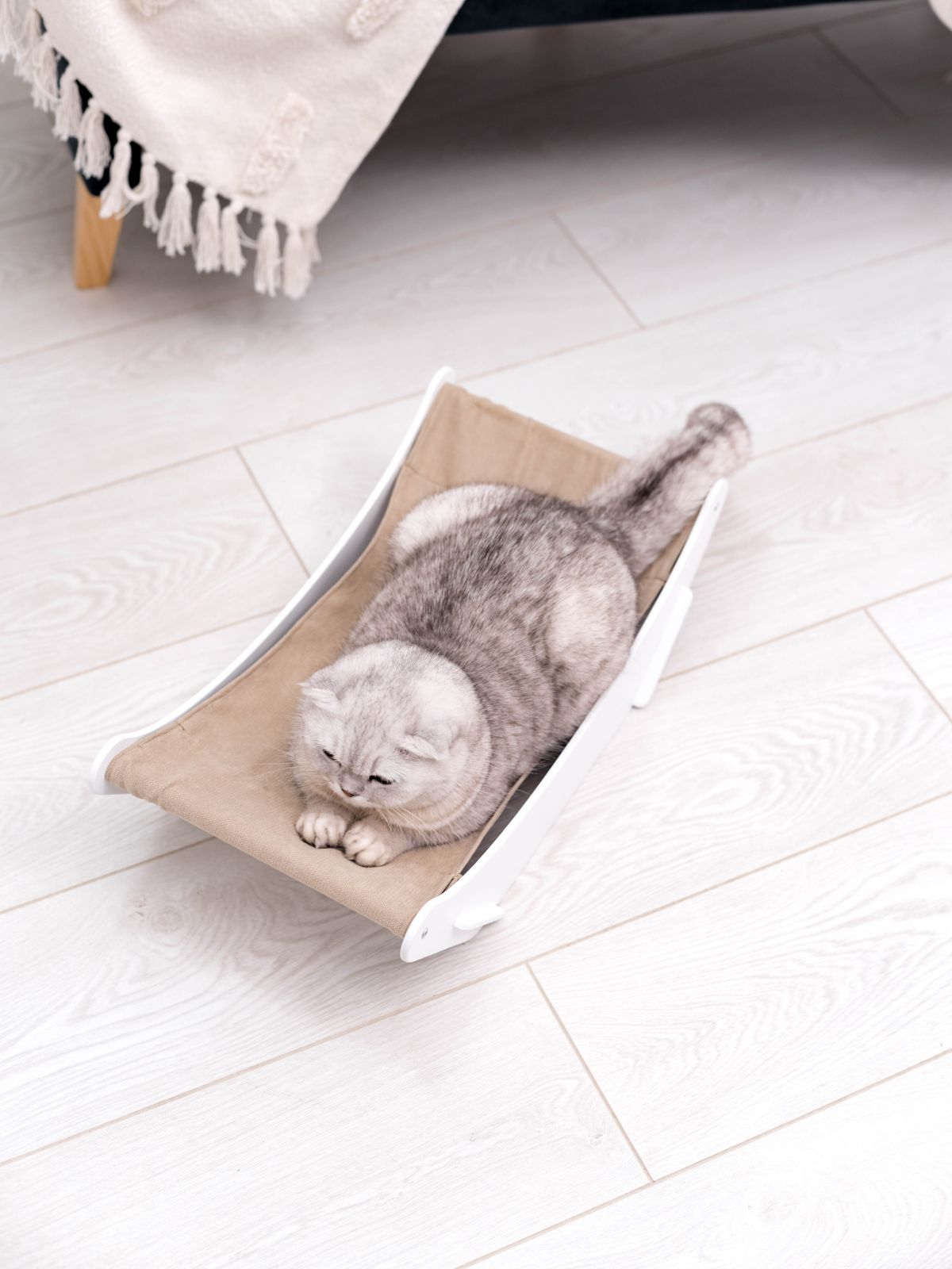 hammock cat bed in white color to stand on the floor