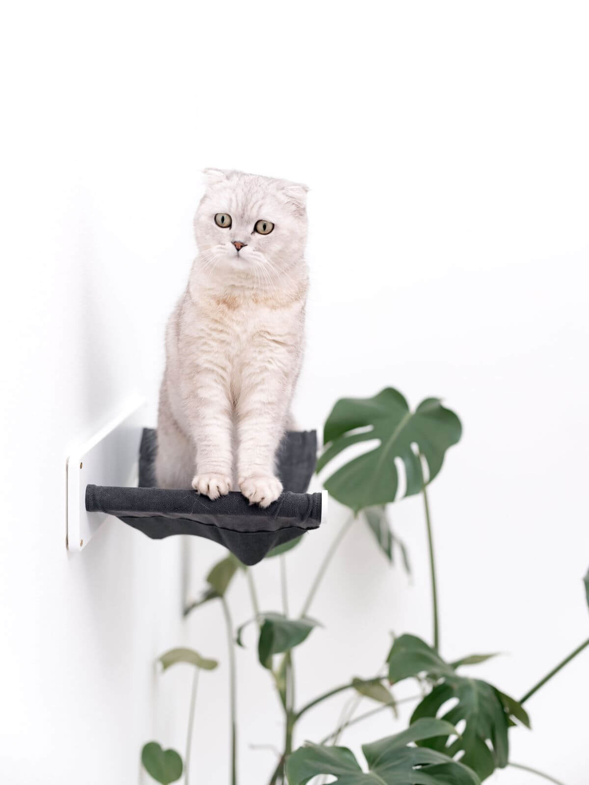 wall mounted cat hammock made from wood