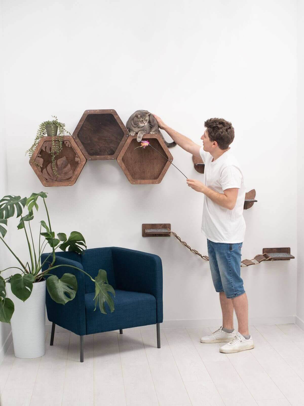 cat shelves hexagon shape made from wood