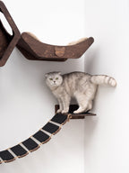 Wall Hexagon Cat House Set 2 Felt + Cat Bridge S