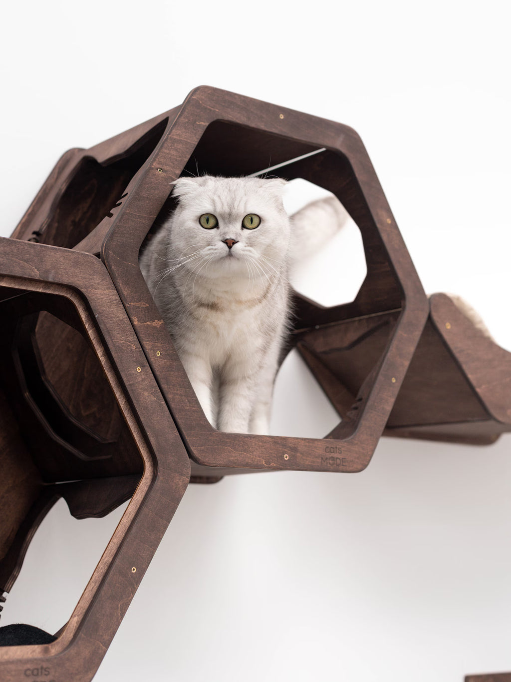 Wall Hexagon Cat House Set 2 Felt + Cat Bridge S
