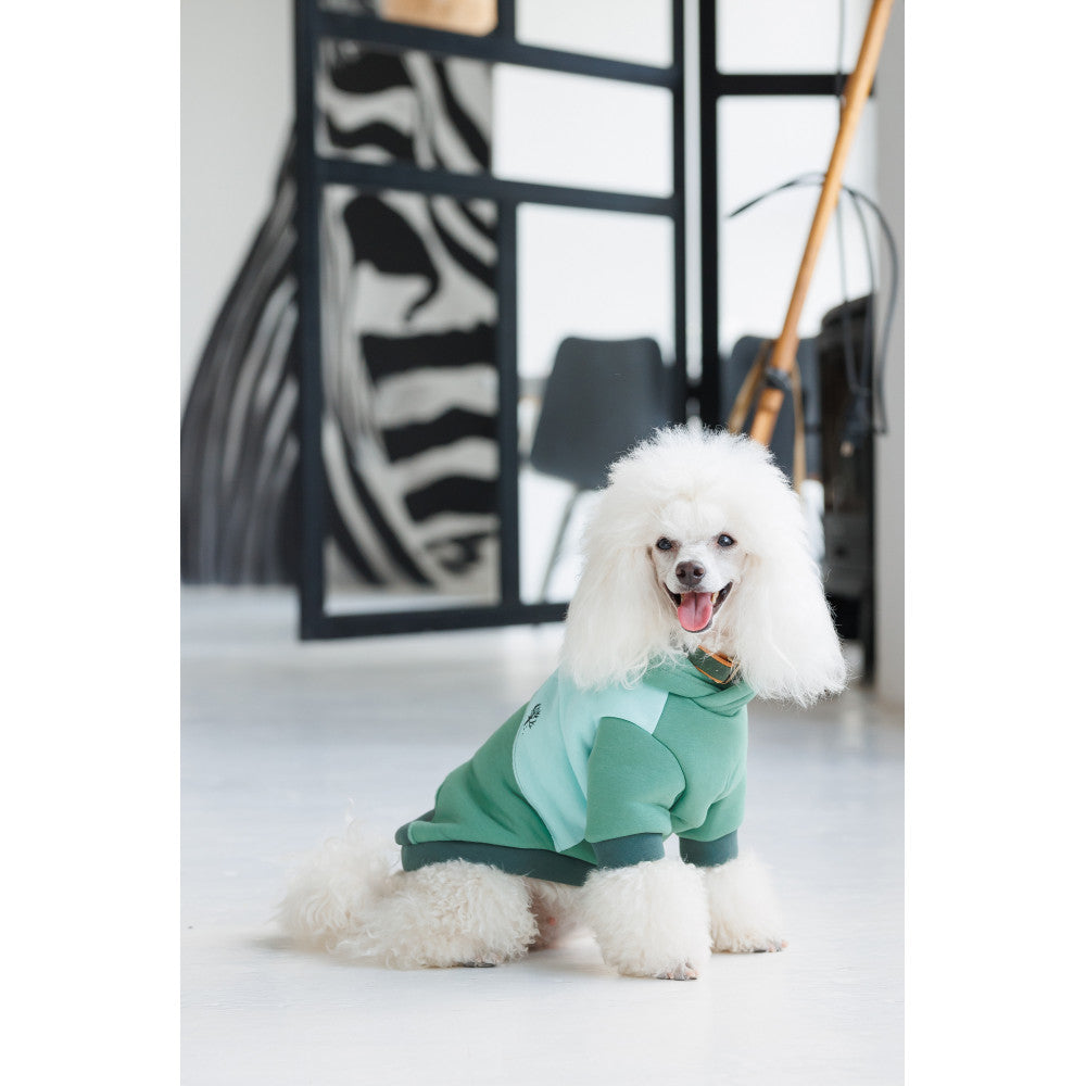 Толстовка Pet Fashion Woody для собак