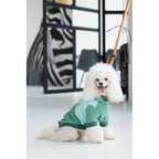 Толстовка Pet Fashion Woody для собак
