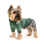 Толстовка Pet Fashion Woody для собак