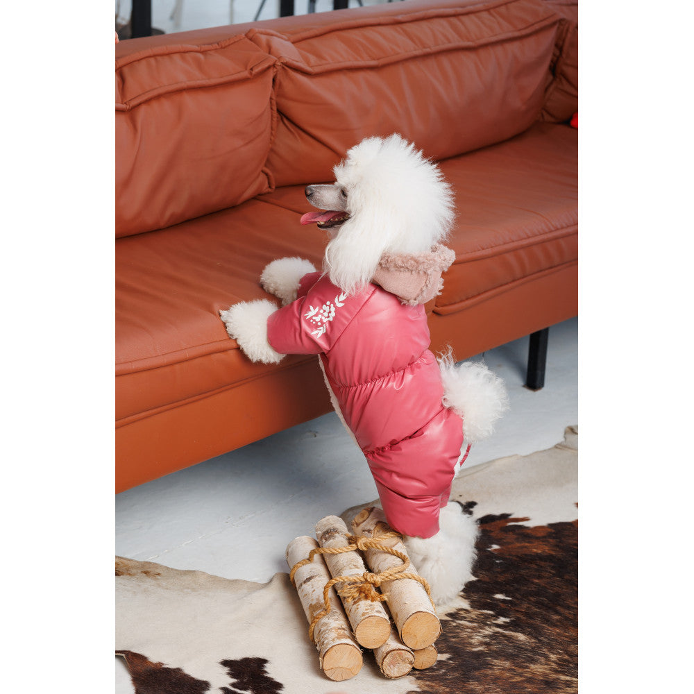 Комбінезон для собак Cherry Dog