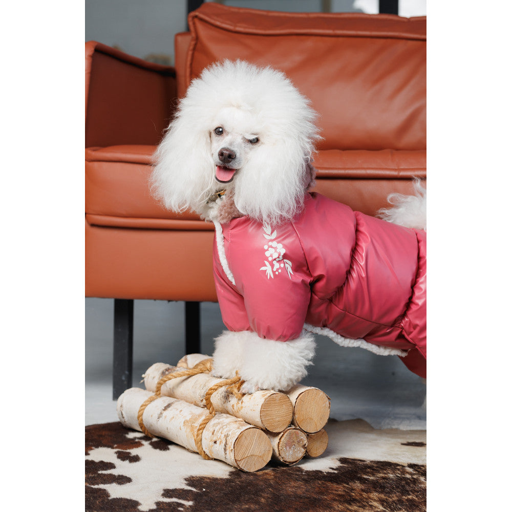 Cherry Dog overall for dogs