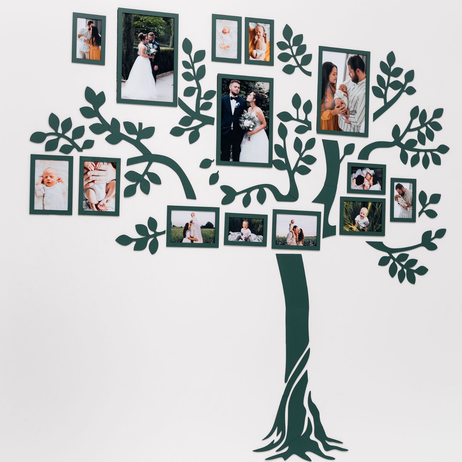 led family tree