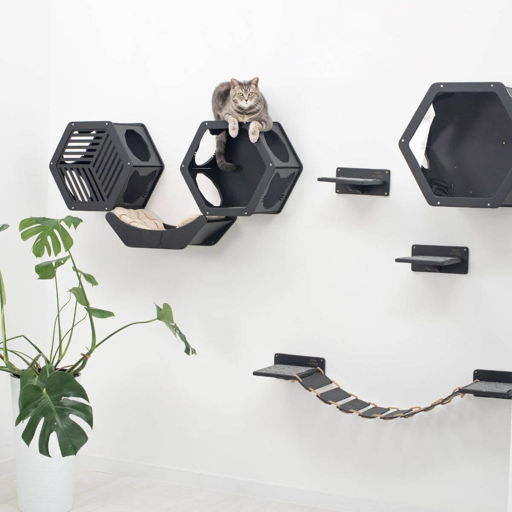 colors of curved wall mounted cat bed