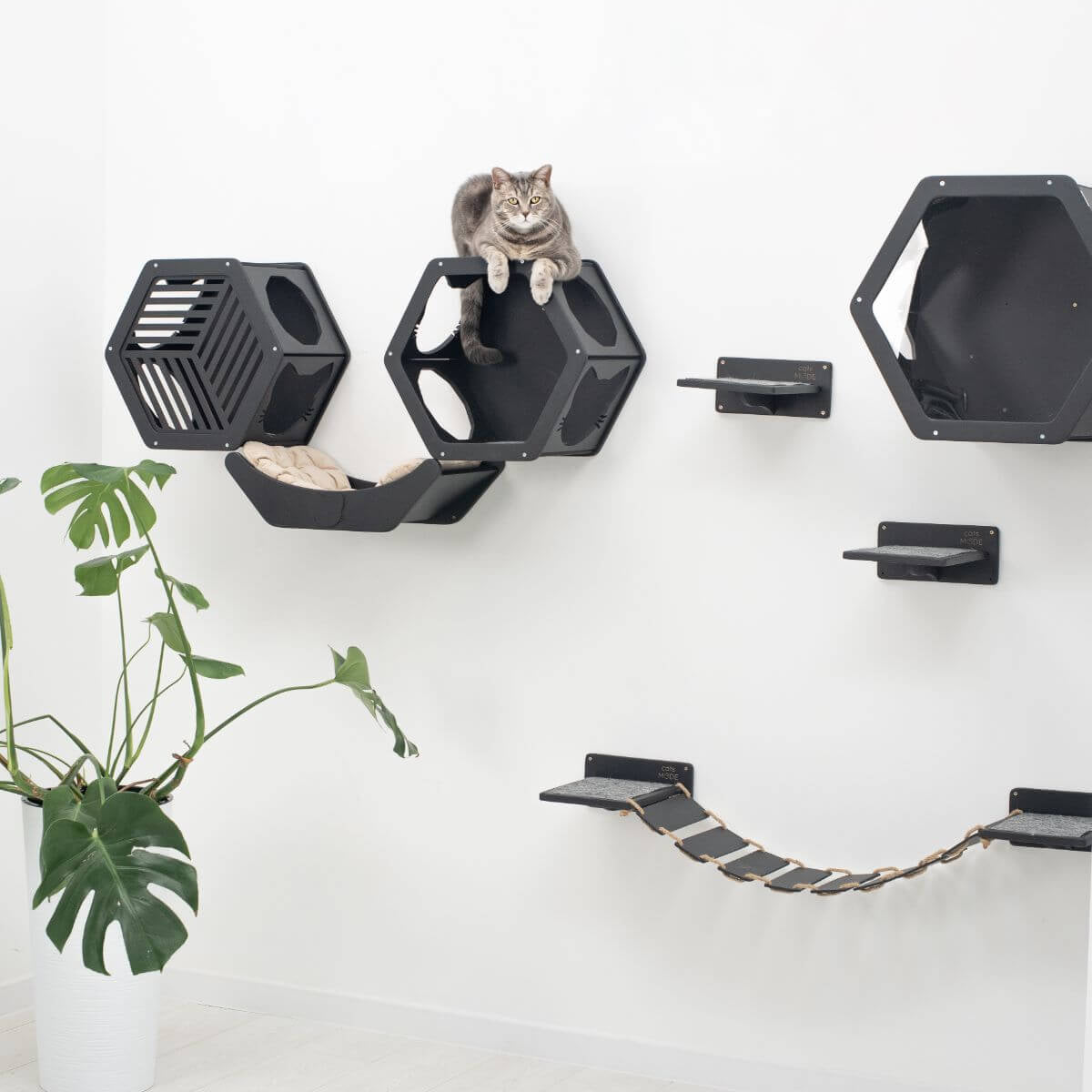 colors of curved wall mounted cat bed