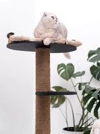 wood cat tree for scratching and rest