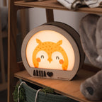 owl light night