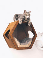 cat shelf pillow placed in cat wall shelves