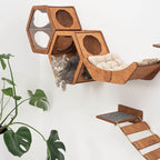 Sleeping Cat Pillow - Beige