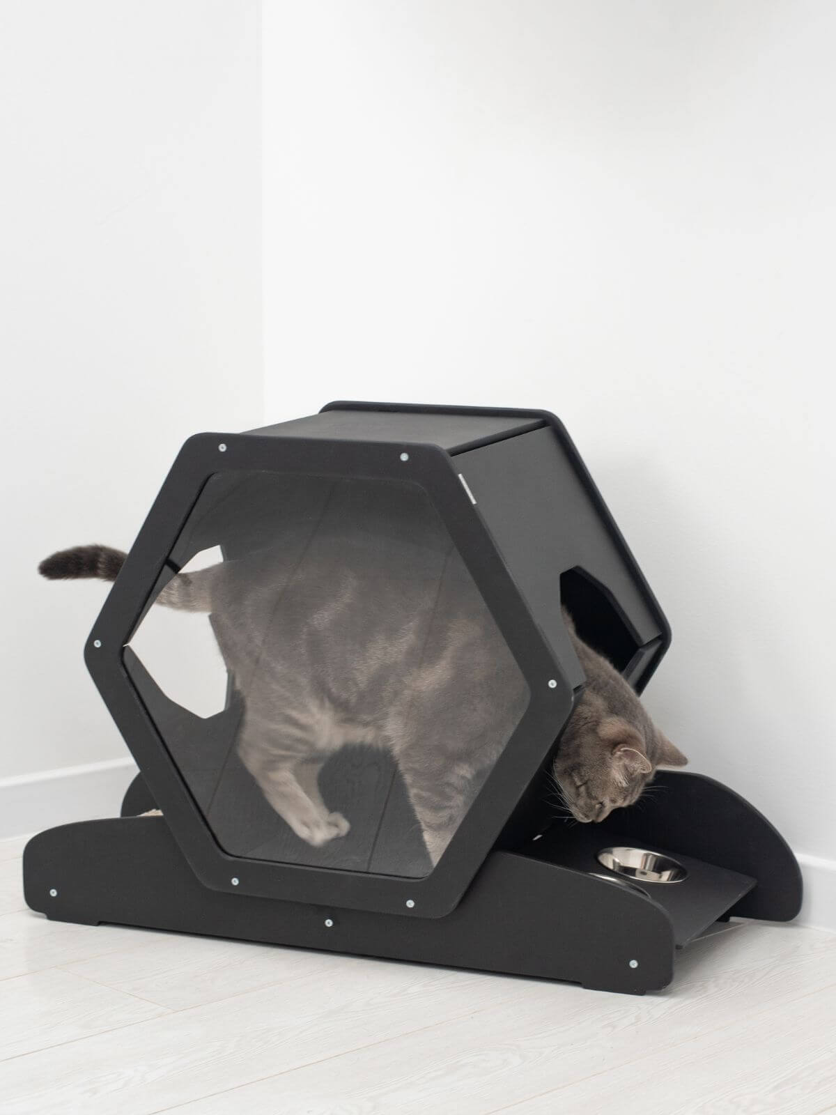 hexagon cat house