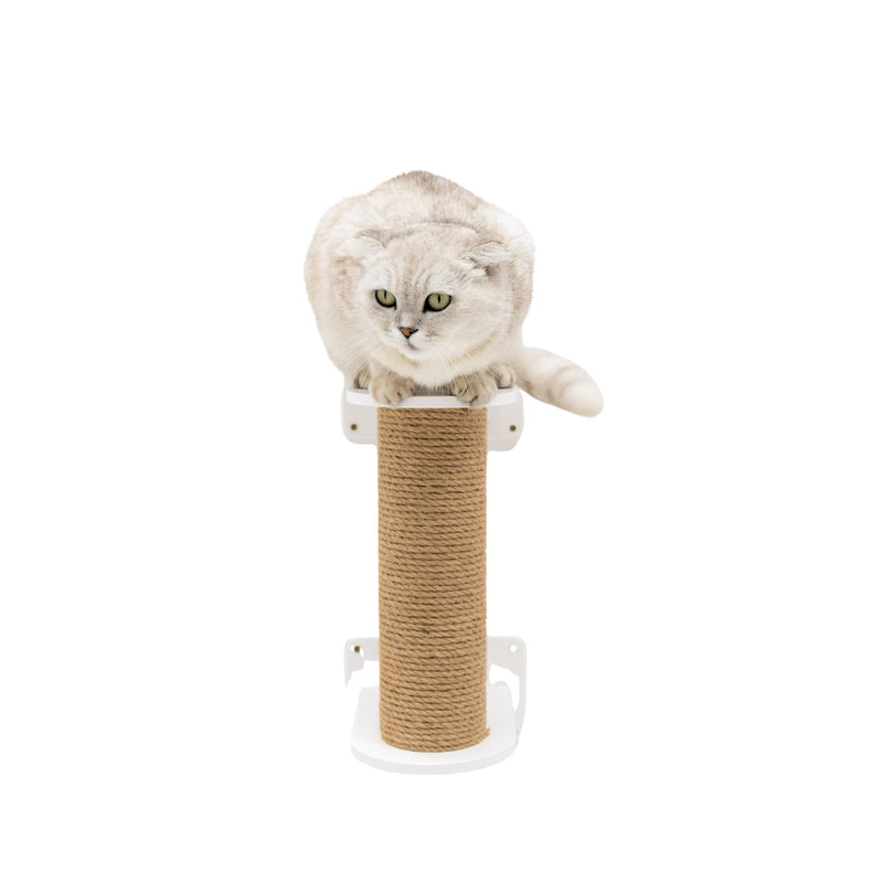 Cat wall tree (B2B)