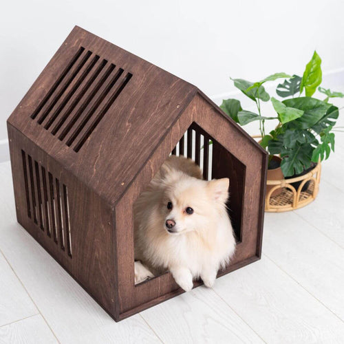 Small Indoor Dog House