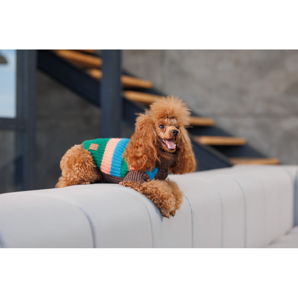 Pet Fashion Stripes sweater for dogs