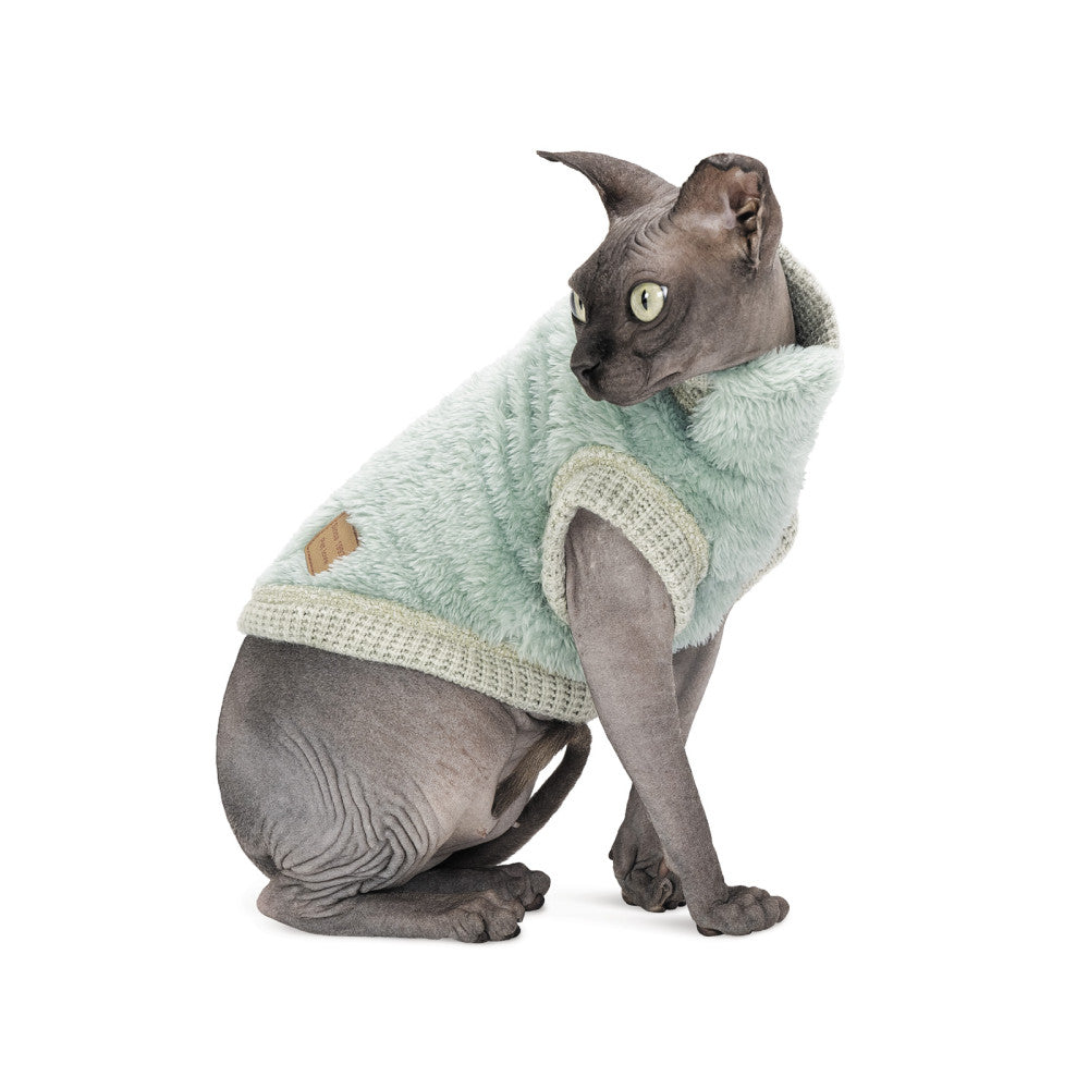 Pet sweater for cat