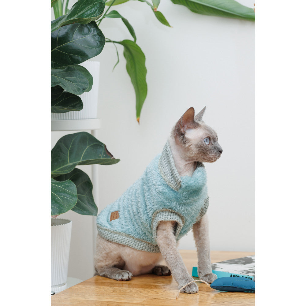 Pet sweater for cat