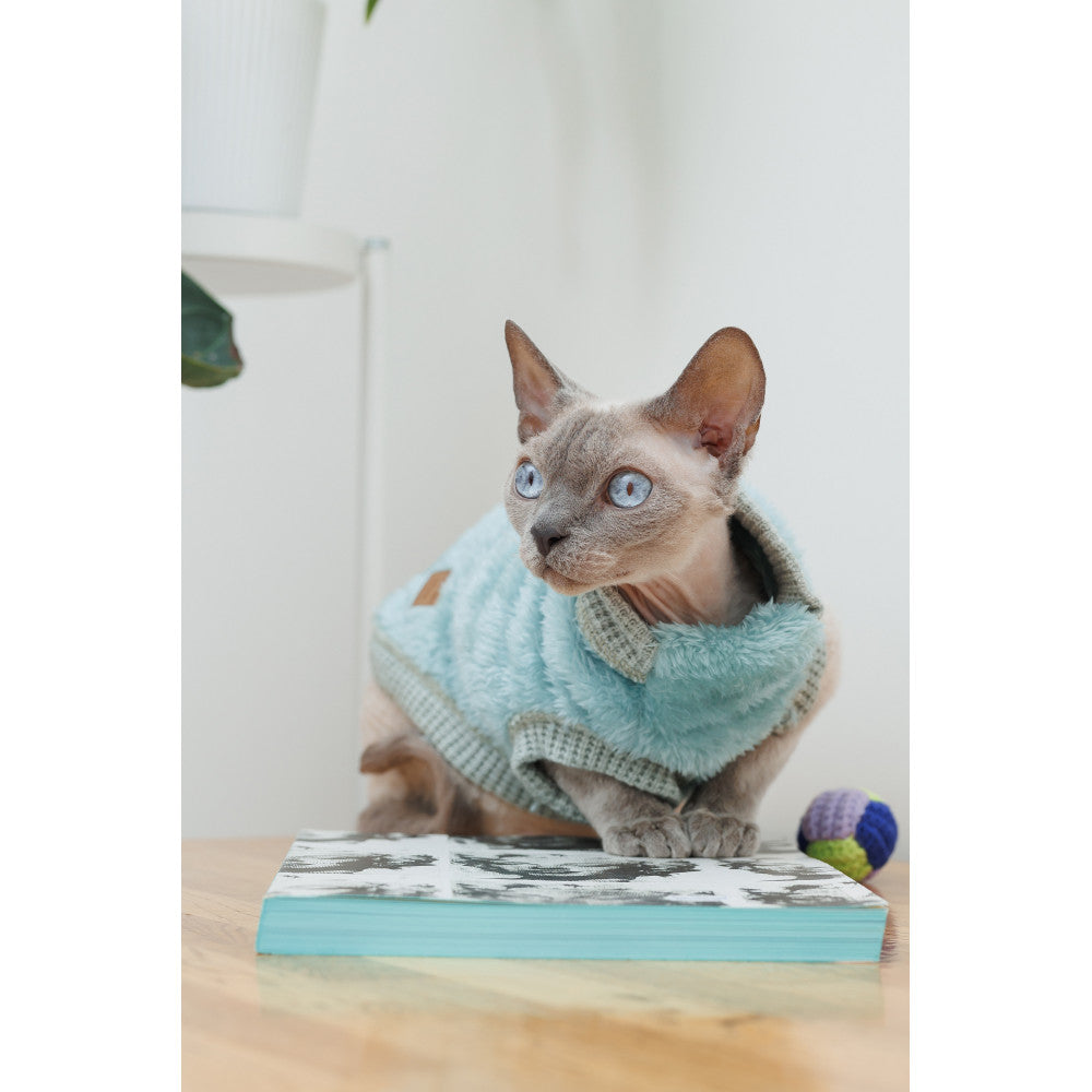 Pet sweater for cat
