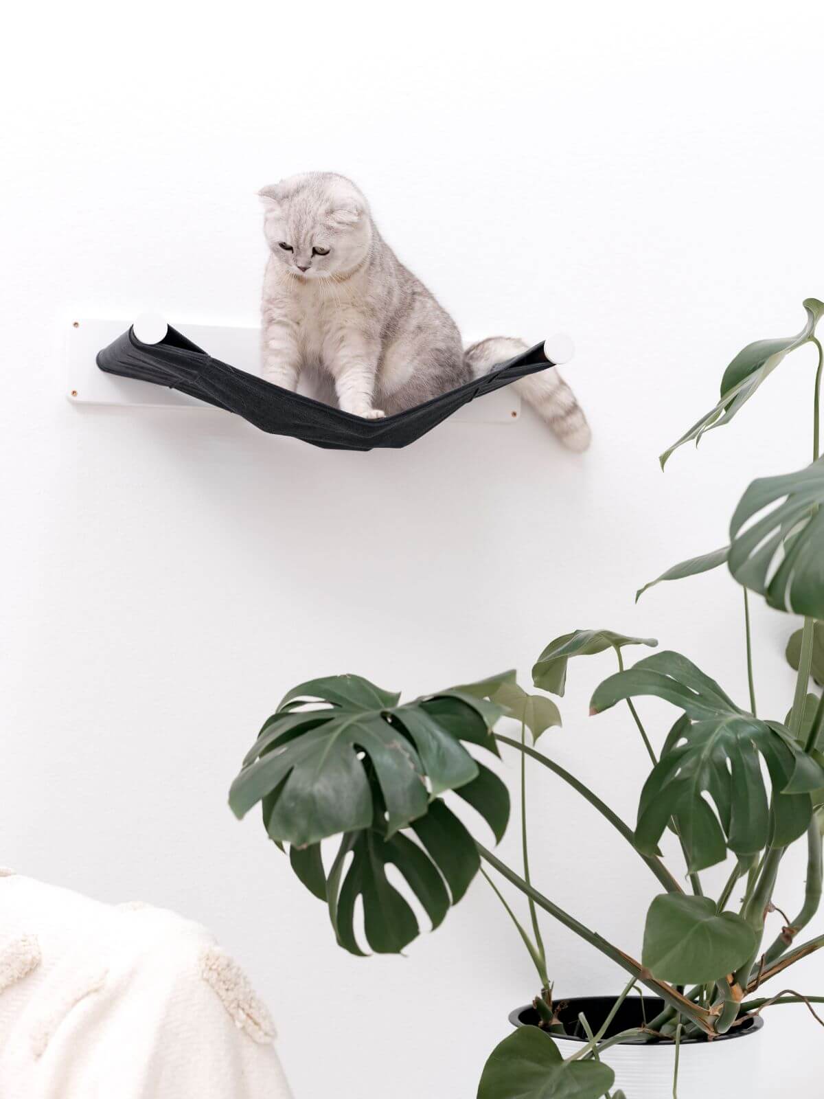 cat hammock for wall