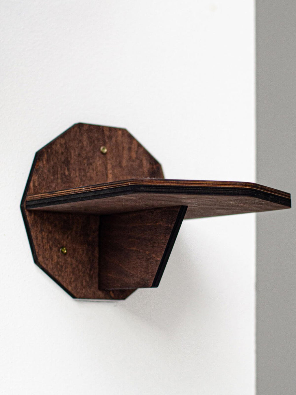 Wall Climbing Steps for Cats