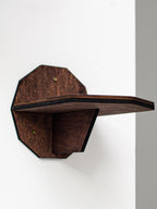 Wall Climbing Steps for Cats