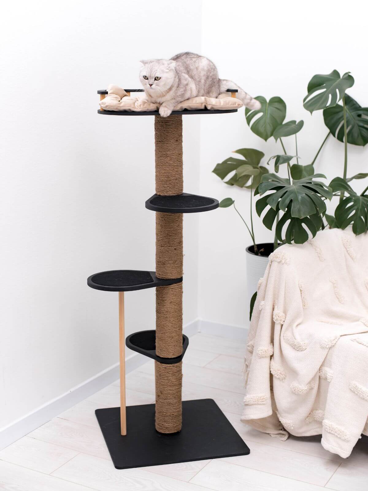 wooden cat tree with cat cushion