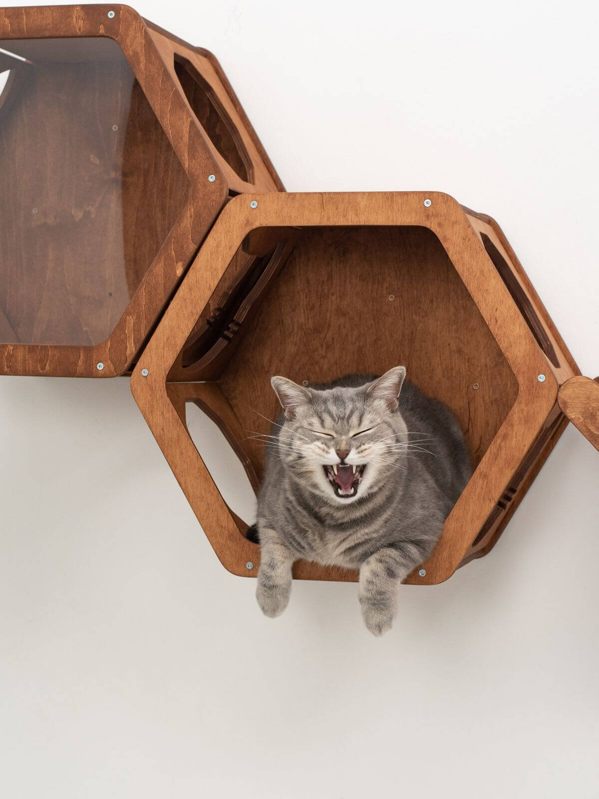 wood cat shelf with grey color on it