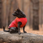 Durable Pet Jacket with Reflective Elements