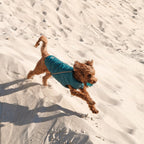 Fashion Pet Vest for Dogs