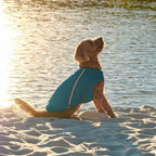 Fashion Pet Vest for Dogs