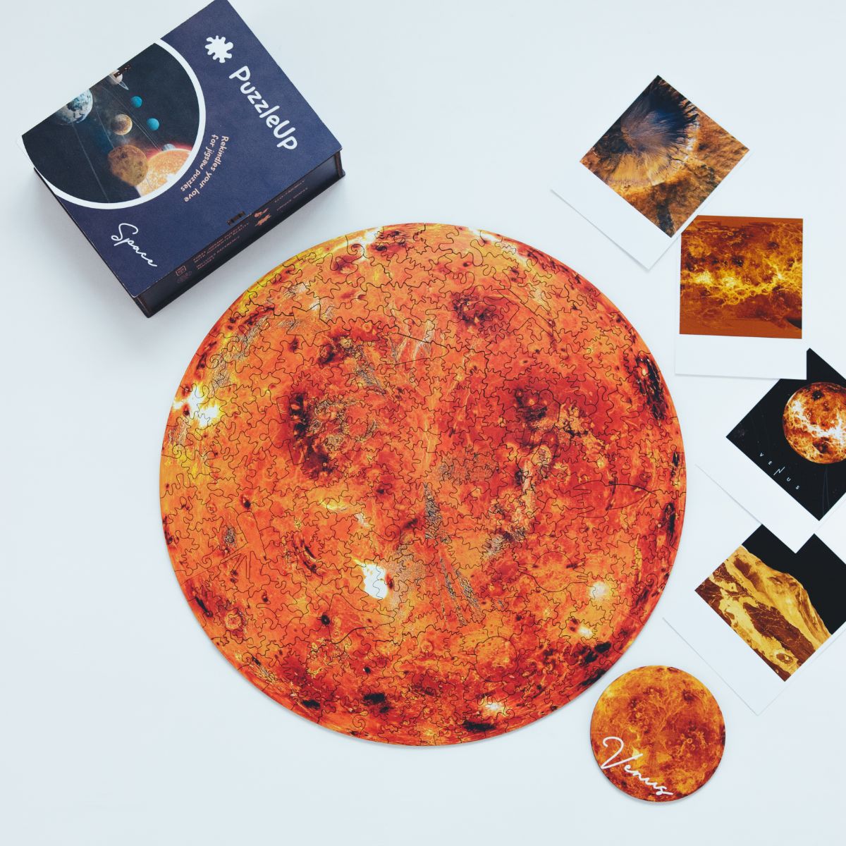 Puzzle Venus