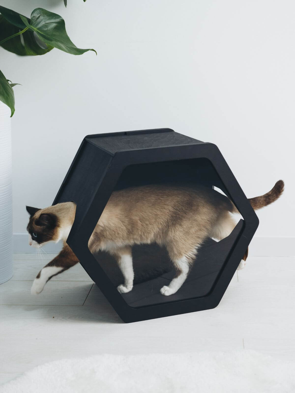 hexagon cat house