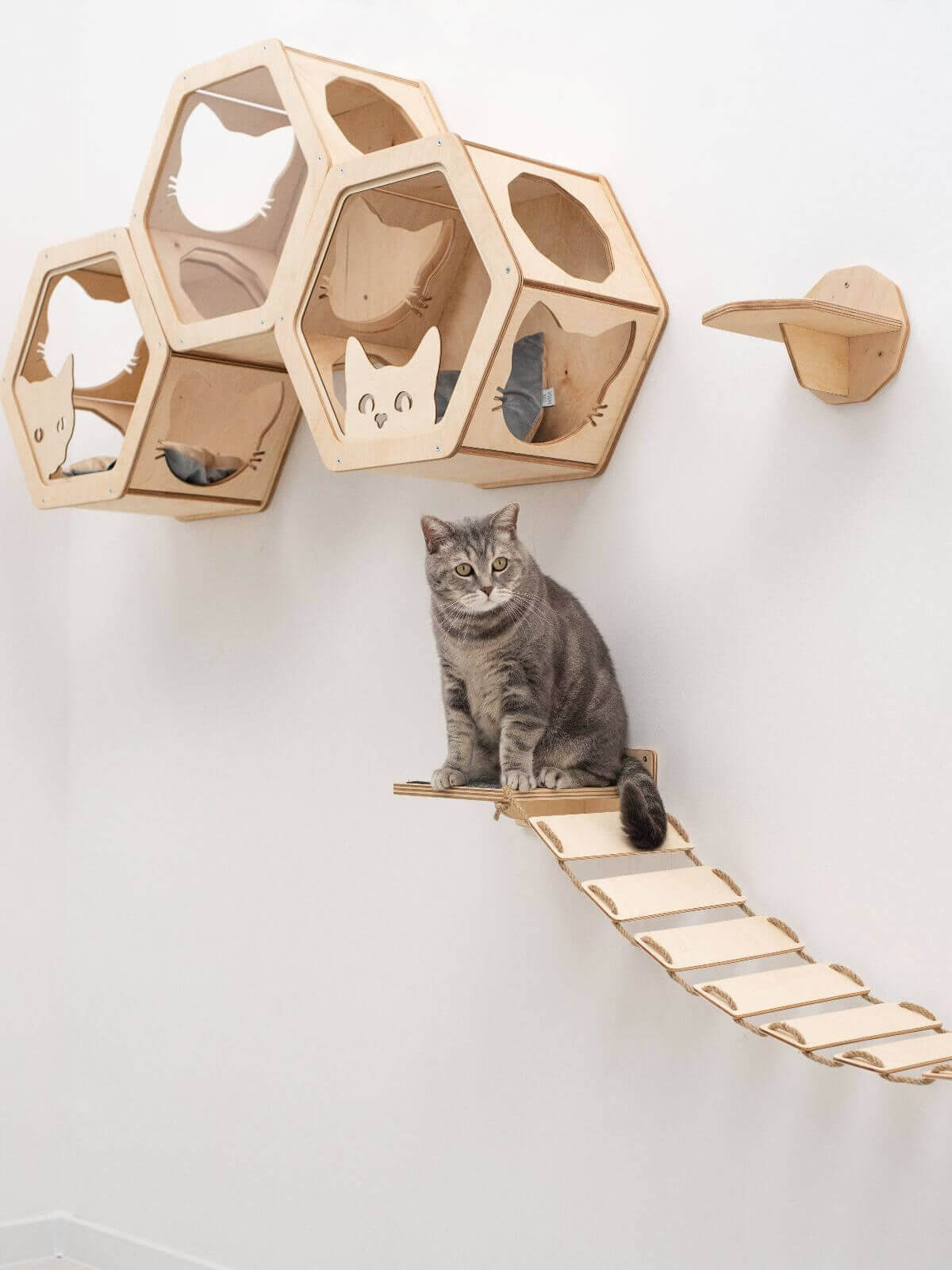 honeycomb cat shelves