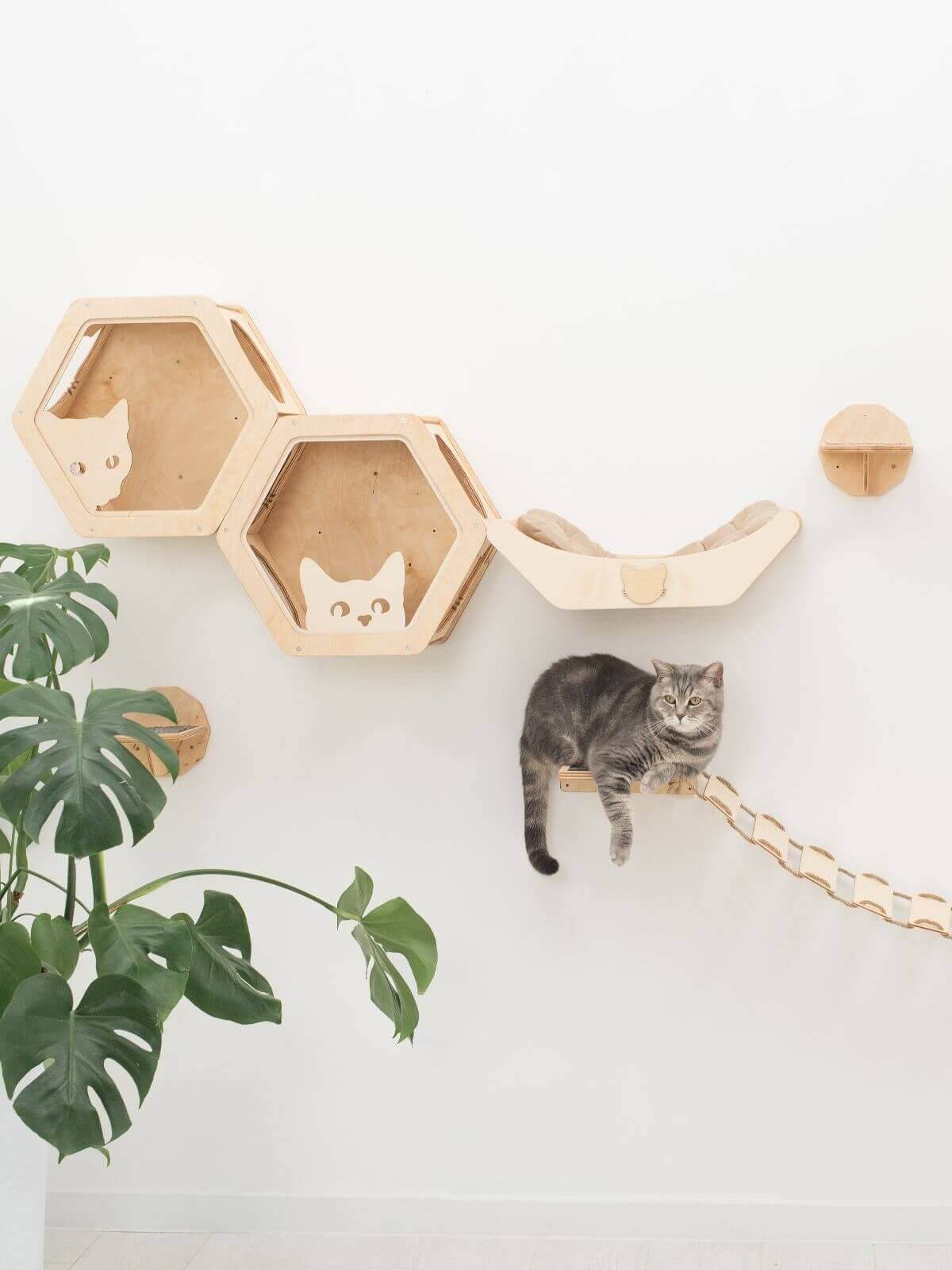 hexagon cat shelves
