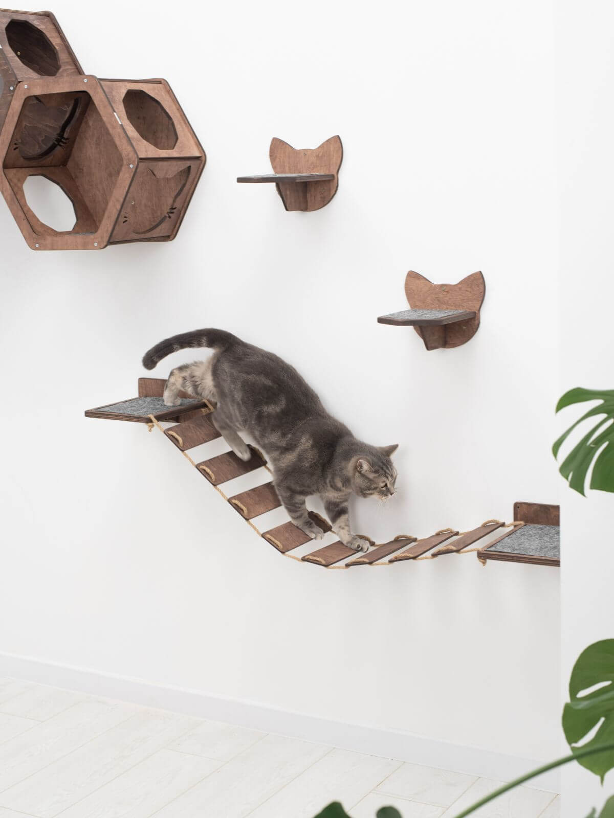 cat stairs for wall