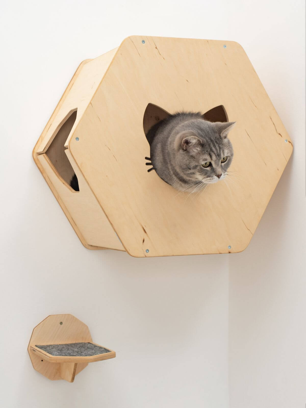 wall mounted cat bed uk