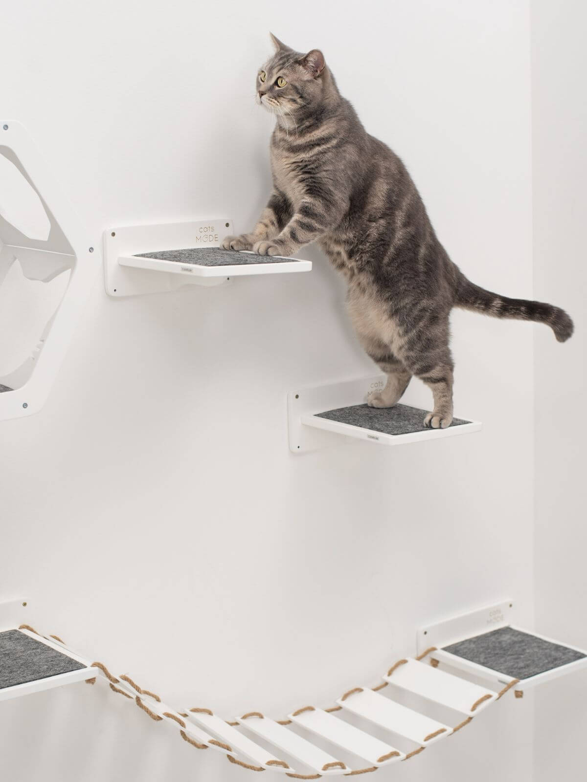 wall mounted cat stairs