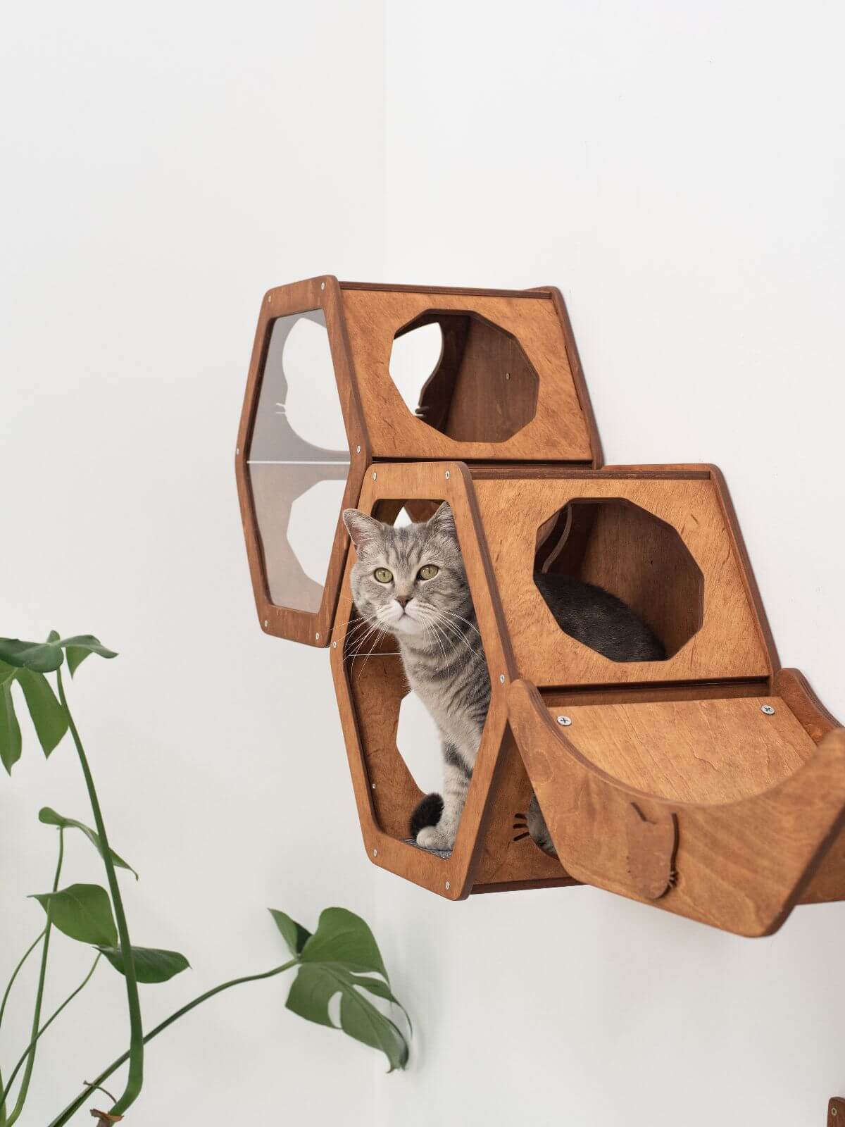 wooden cat shelf